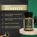 Key Benefits of Arebianveda's Black Tower Himalaya Shilajit Capsule