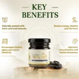 jey benefits of arebianveda shilajit resin