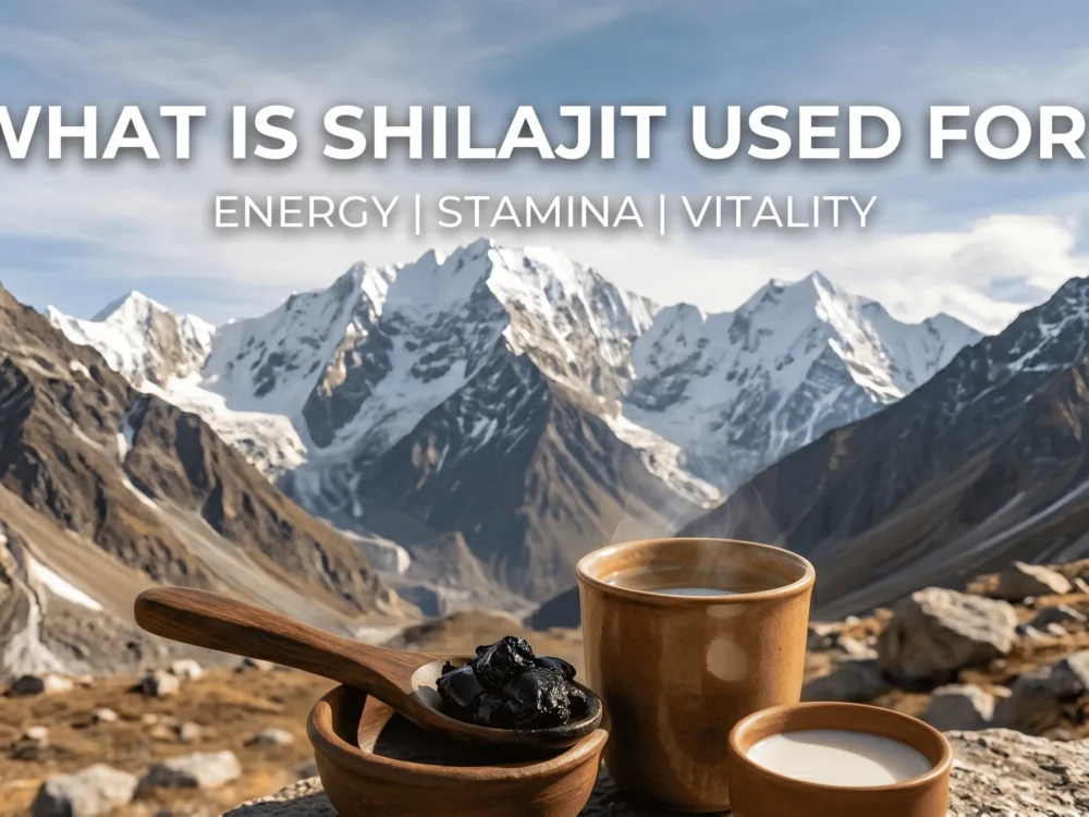 What Is Shilajit Used For: Benefits, Uses and Its Importance