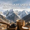 what is shilajit used for benefits and best uses guide